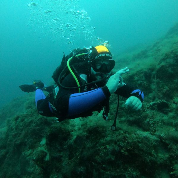 ronioci15